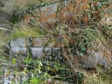 image number DSC01952